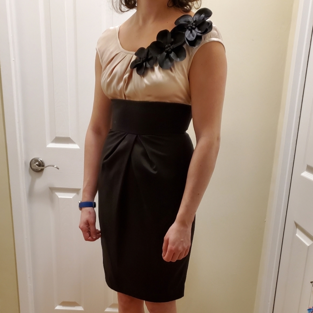 Elegant pencil skirt dress - Picture 1 of 5